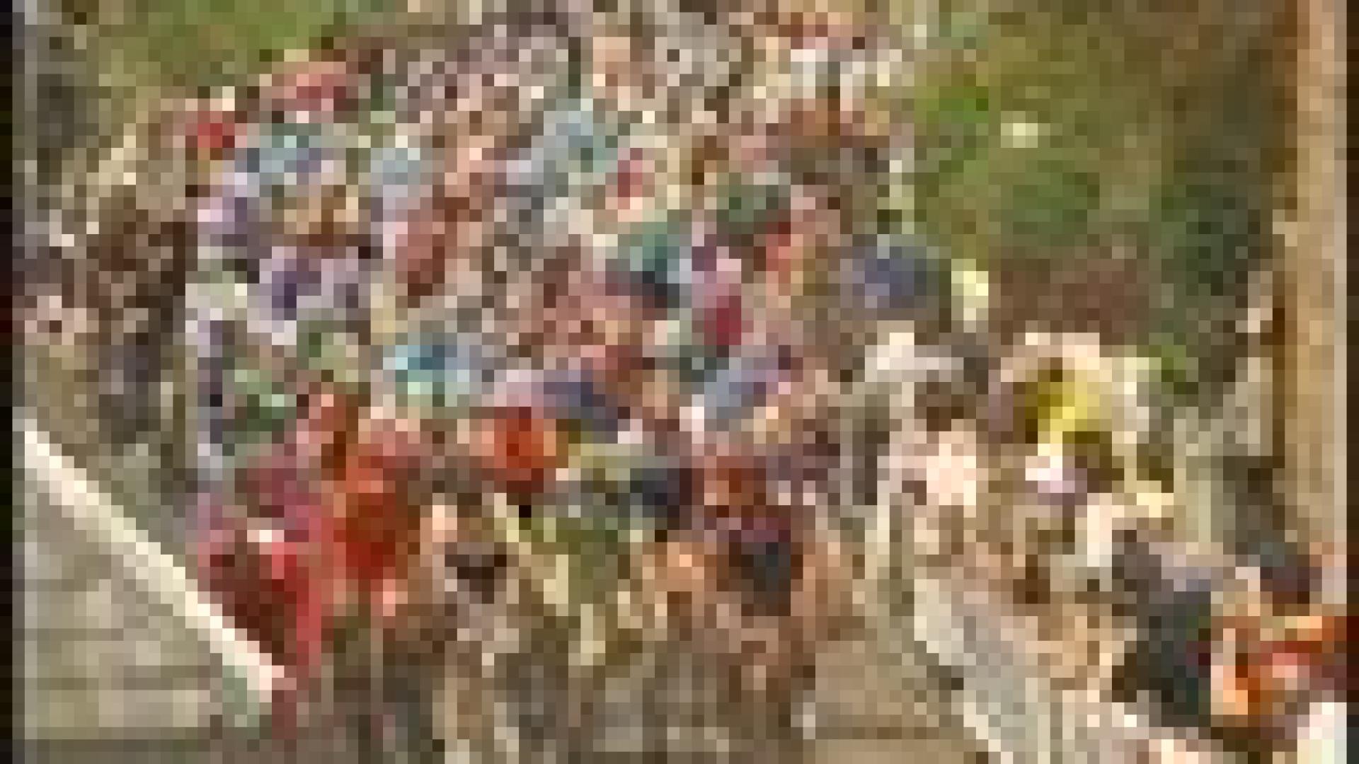 Cyclisme : le tour de Belgique à Flémalle